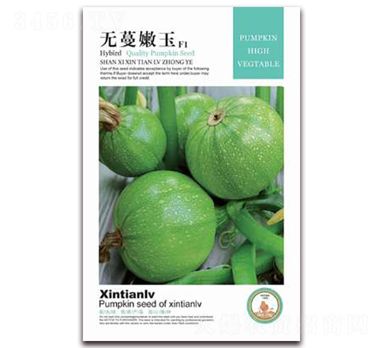 �o������-�����J�N��-���G