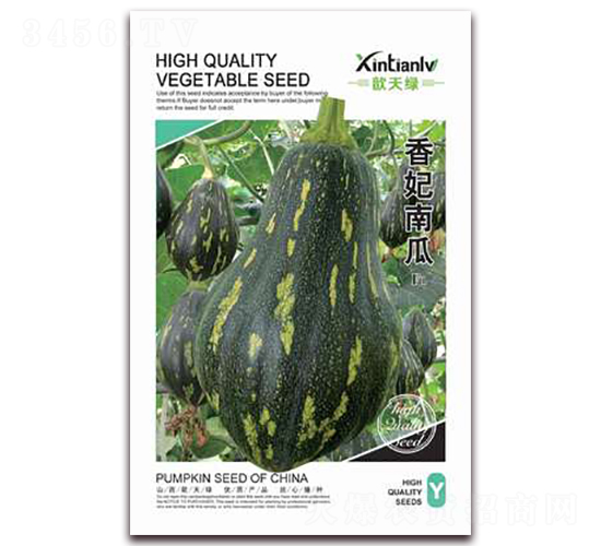 �����Ϲ�-�ϹϷN��-���G