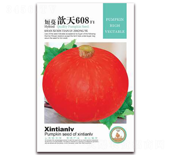 �������608-�ϹϷN��-���G