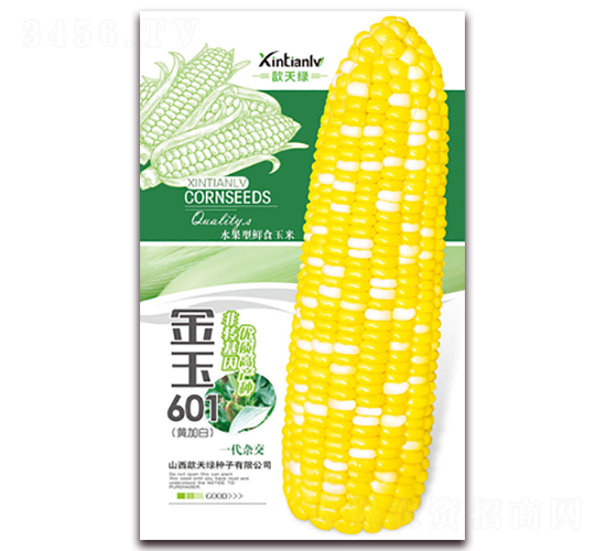 ����601-��Ŵ���׷N��-���G