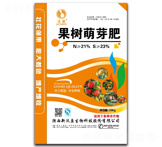 ������ѿ��-��ӯ����