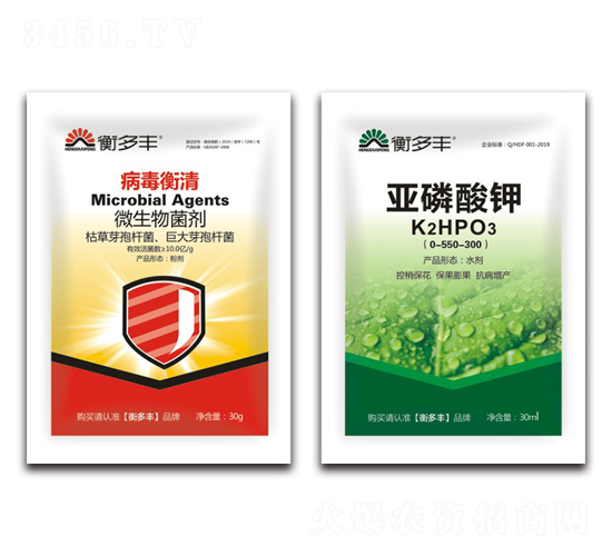 1+1�B���Բ���������-��������-����S