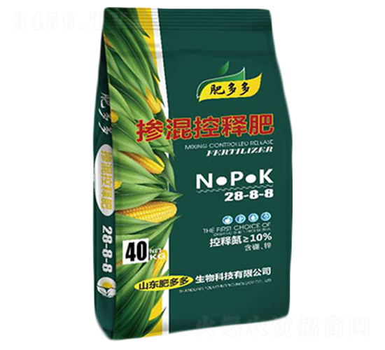 �����ጷ�-�ʶ��