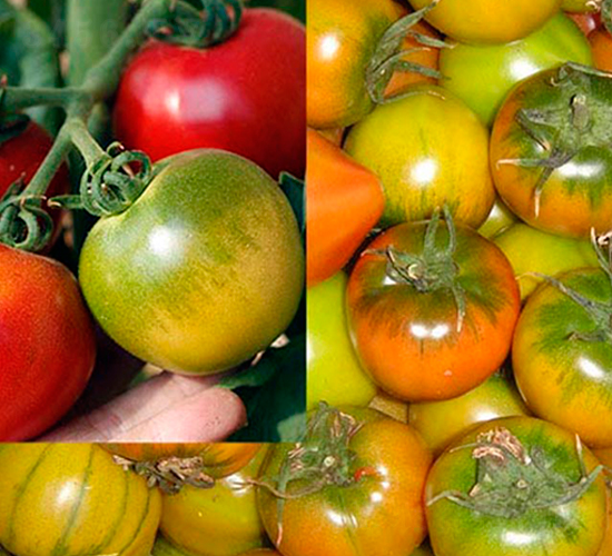 ���_(d��)��ݮ���ѷN��-���_(d��)