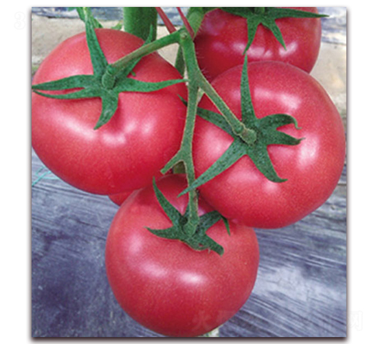 ����-�۹����ѷN��-���_(d��)