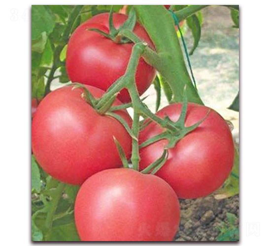 �ҵ�-�۹����ѷN��-���_