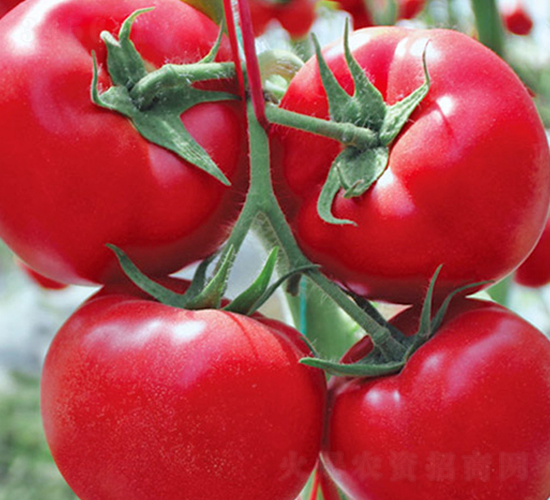 ����-�۹����ѷN��-���_