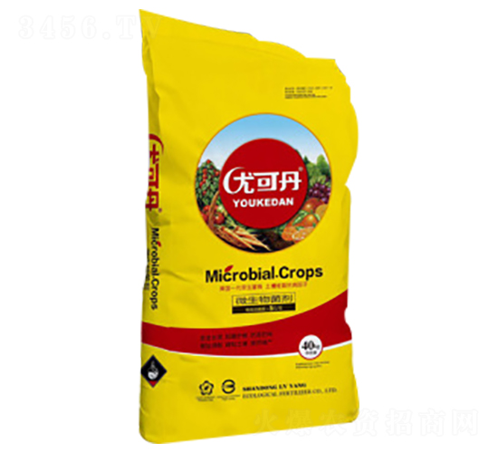 ΢�������-�ȿɵ�