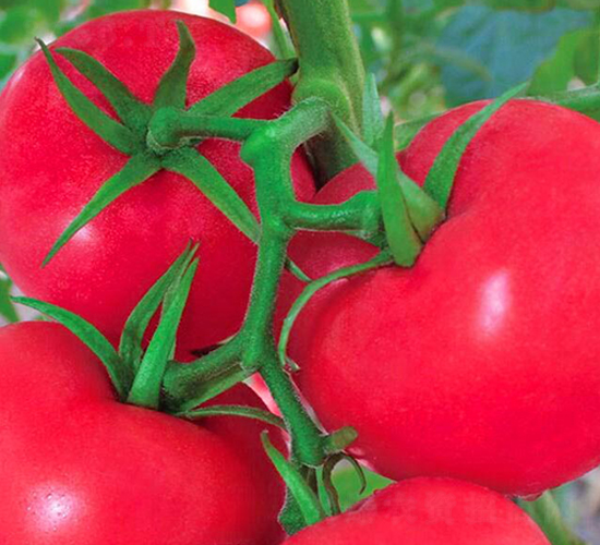 ����-�۹����ѷN��-���_(d��)