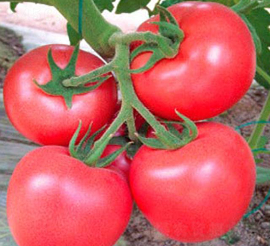 ����-�۹����ѷN��-���_