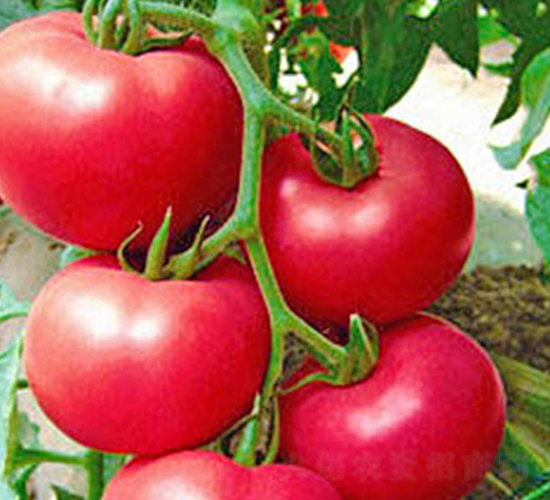 ����-�۹����ѷN��-���_