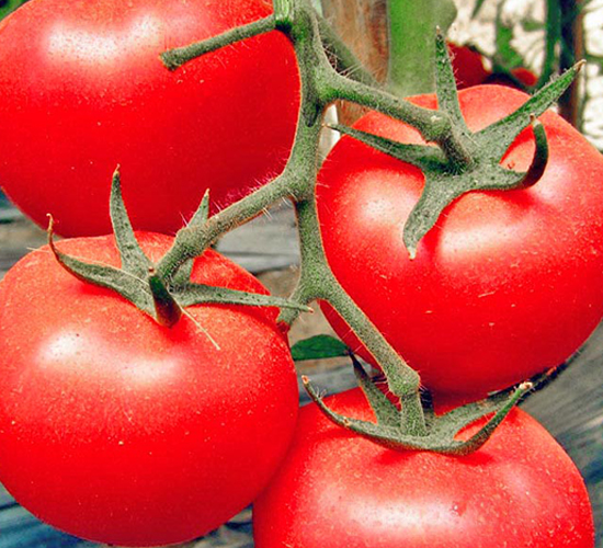 �I(l��ng)��һ̖-�۹����ѷN��-���_(d��)