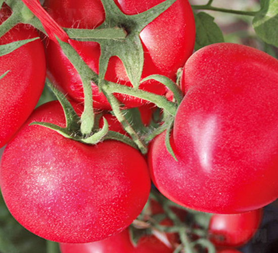 �W����-�۹����ѷN��-���_(d��)