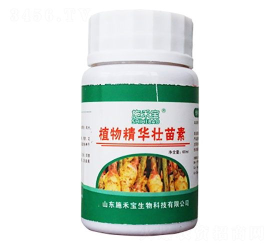 ֲ�ﾫ�A������-ʩ�̌�