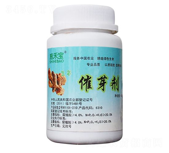 ������ѿ��-ʩ�̌�