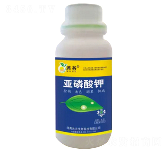 �������-�������