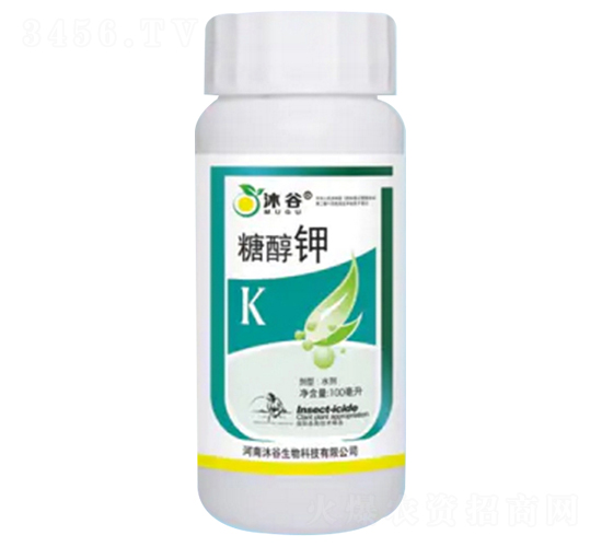 �Ǵ��-�������