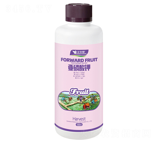 �������-�S�A��-�S�A�ʘI(y��)