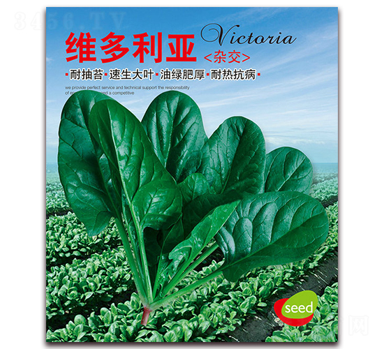 �S������-���˷N��-�I�ھ���