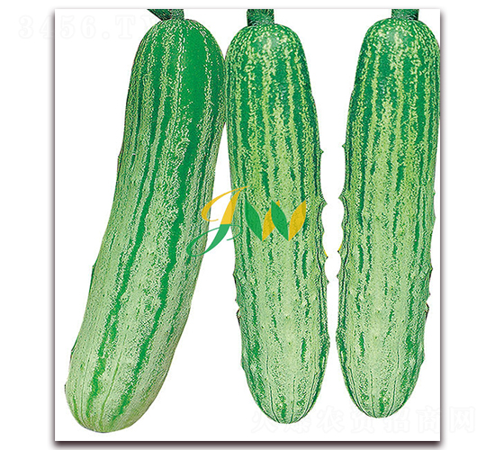 ��Ʒ����S��-�S�ϷN��-�I�ھ���