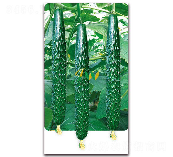 ����101-�S�ϷN��-�I�ھ���