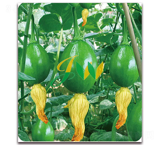 �����-�ϹϷN��-�I(y��ng)�ھ���