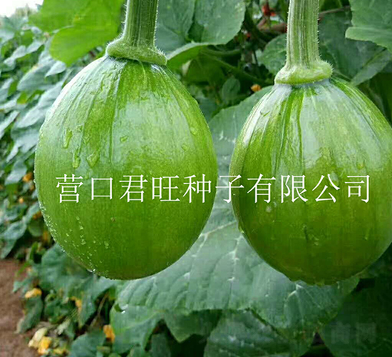 �n��(gu��)����-�ϹϷN��-�I(y��ng)�ھ���