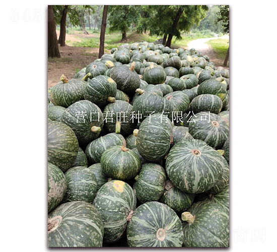 ��������-�ϹϷN��-�I�ھ���