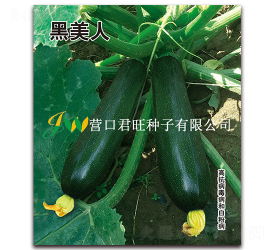 ������-�����J�N��-�I(y��ng)�ھ���