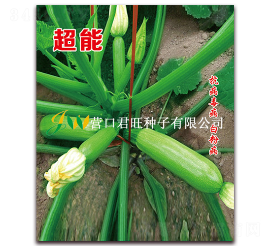 ����-�����J�N��-�I�ھ���