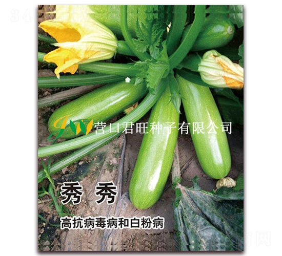 ����-�����J�N��-�I�ھ���