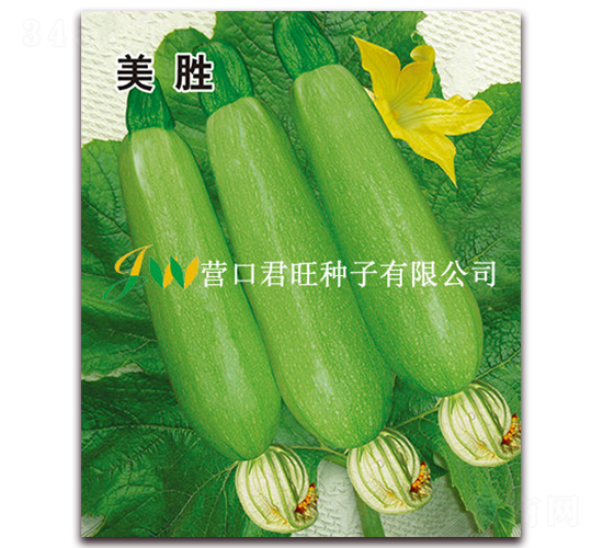 ����-�����J�N��-�I�ھ���