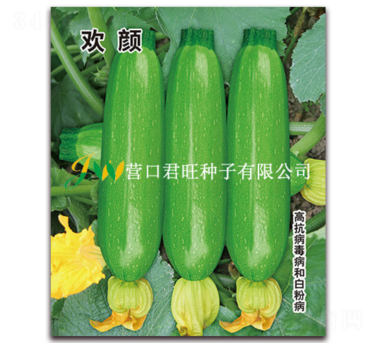 �g�-�����J�N��-�I(y��ng)�ھ���