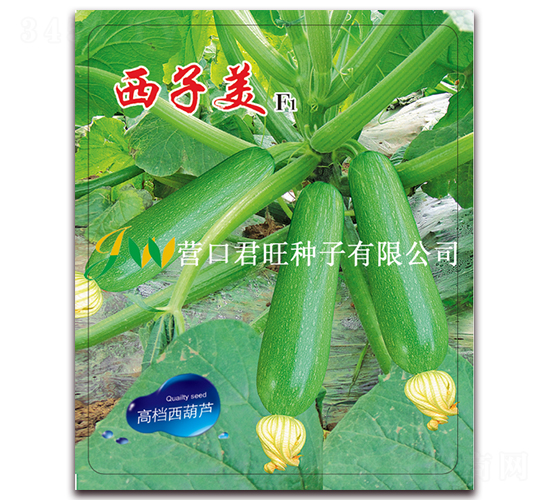 ������-�����J�N��-�I�ھ���