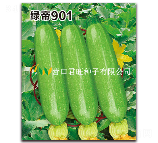 �G��901-�����J�N��-�I(y��ng)�ھ���