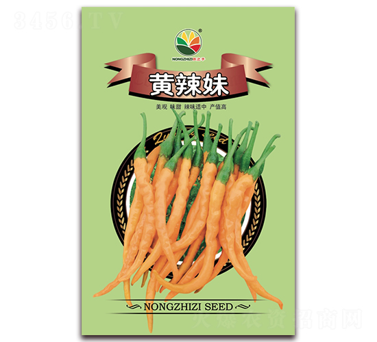 �S����-�����N��-�r(n��ng)֮��