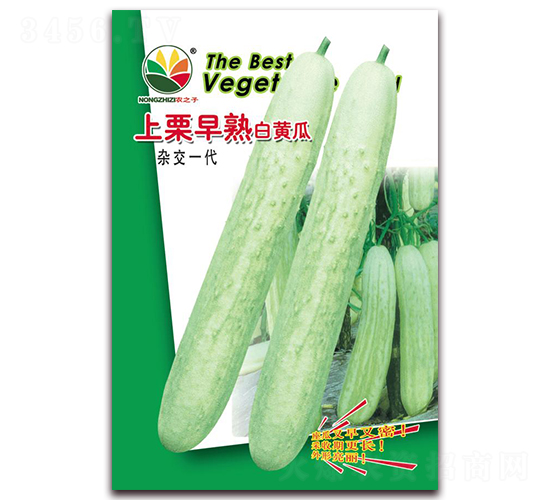 ����������S��-�S�ϷN��-�r(n��ng)֮��