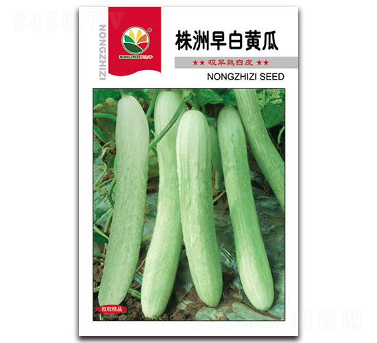 ��������S��-�S�ϷN��-�r(n��ng)֮��