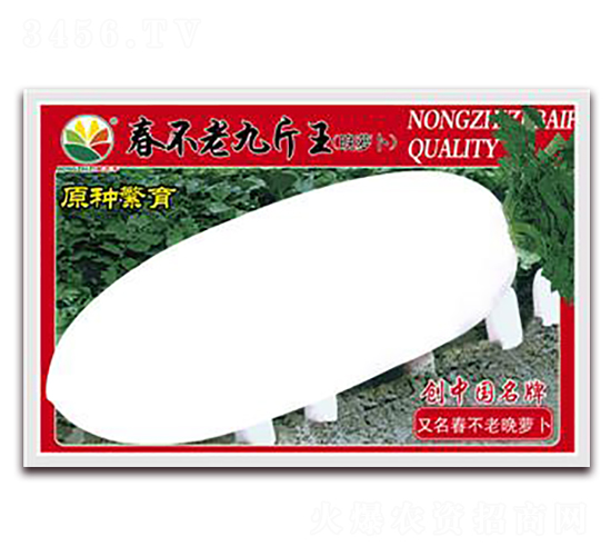 �����ϾŽ���-�}���N��-�r(n��ng)֮��