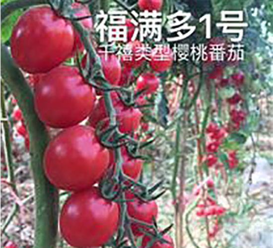 ���M��1̖-���ҷ��ѷN��-��ػݝ�