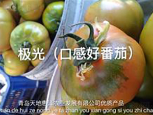 �O��-���ҷ��ѷN��-��ػݝ�