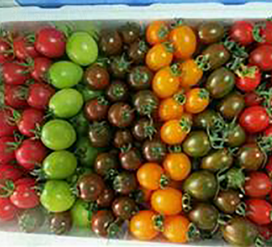 ������-���ҷ��ѷN��-��ػݝ�