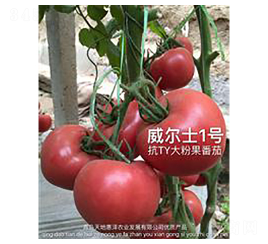 ����ʿ1̖-�۹����ѷN��-��ػݝ�