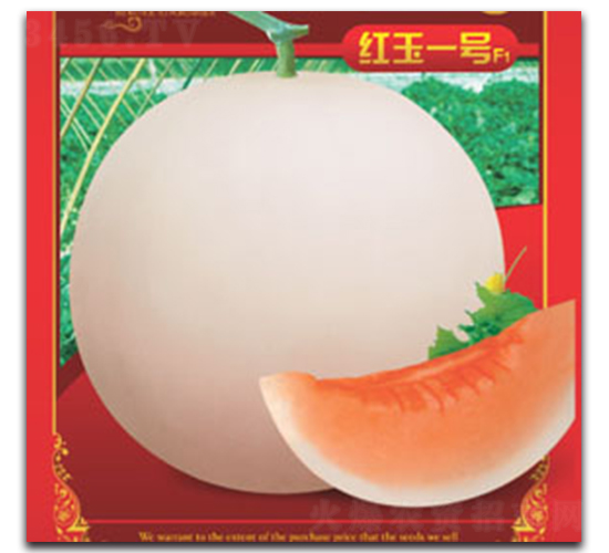 �t��һ̖(h��o)-��ϷN��-����ӯ�r(n��ng)�I(y��)