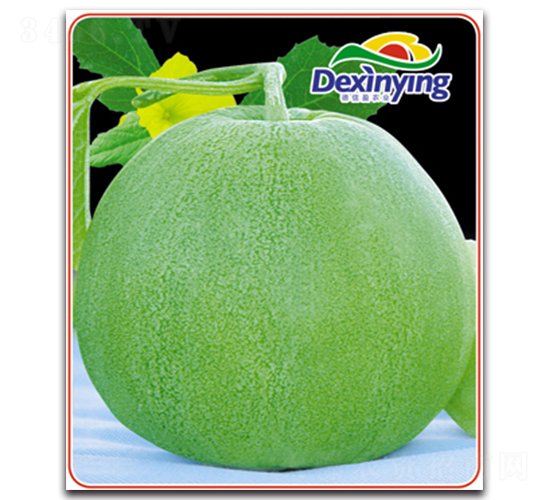 �G��ʯ-��ϷN��-����ӯ�r�I(y��)