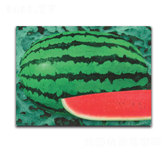 �޿���̖-���ϷN��-����ӯ�r(n��ng)�I(y��)