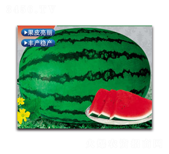 �޿��G��-���ϷN��-����ӯ�r(n��ng)�I(y��)