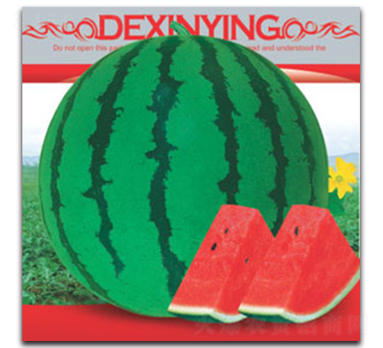 ��������-���ϷN��-����ӯ�r(n��ng)�I(y��)