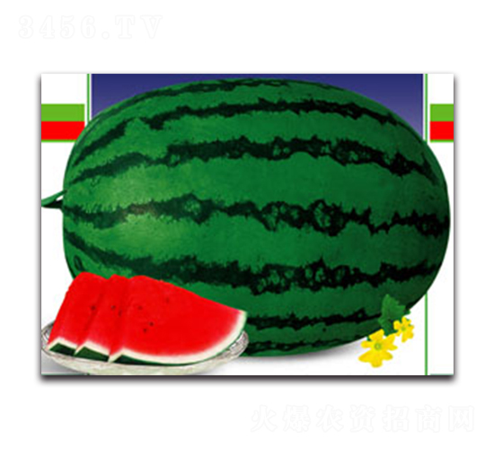 ������̖-���ϷN��-����ӯ�r(n��ng)�I(y��)