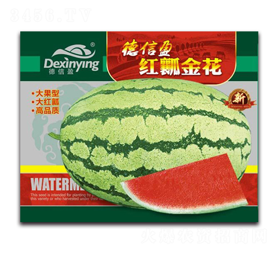 �tȿ��-���ϷN��-����ӯ�r(n��ng)�I(y��)